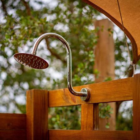 ホテル Pitahaya Glamping カボ・ロホ エクステリア 写真