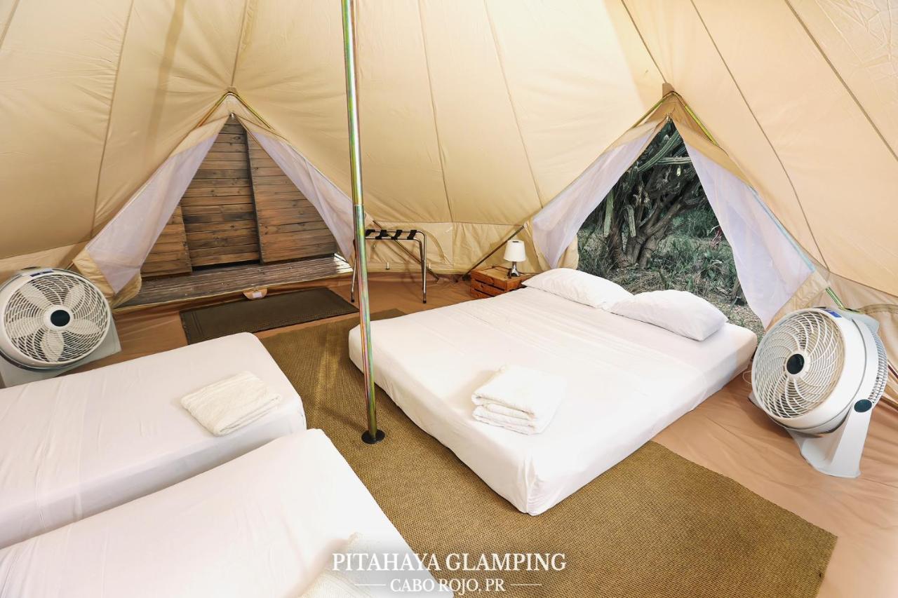 ホテル Pitahaya Glamping カボ・ロホ エクステリア 写真